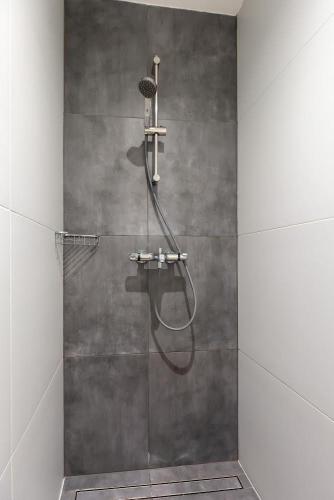 a shower with a shower head in a bathroom at Apartment Bonne Vie in Vižinada