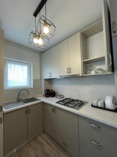 Кухня или мини-кухня в Andreeas Apartaments
