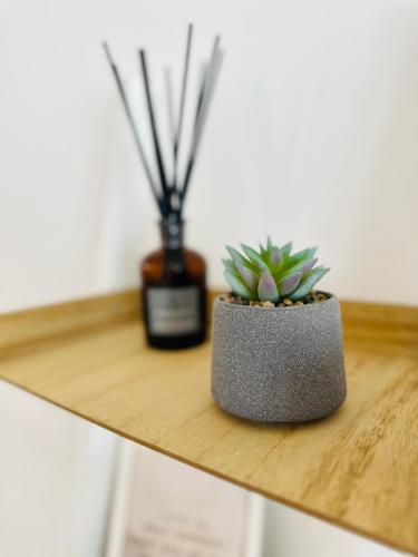 two potted plants sitting on a wooden table at Appartamento Felice in Milo