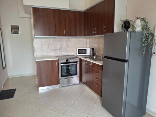 a kitchen with a stainless steel refrigerator and wooden cabinets at Anastasia's Apartment 2 in N&eacute;a P&eacute;ramos