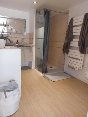 La salle de bains est pourvue d'une douche et d'une douche vitrée. dans l'établissement Chambre indépendante avec terrasse privative, à Le Revest-le-Eaux