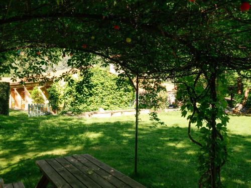 a picnic table under a tree in a yard at Casa Bauxells in Sahorre