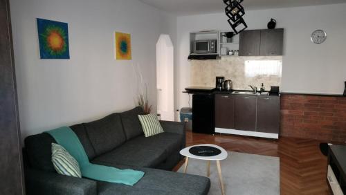 a living room with a couch and a kitchen at Nexus in Miercurea-Ciuc
