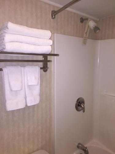a bathroom with white towels on a towel rack at The Black Mountain Inn in Brattleboro