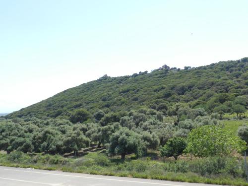 Φυσικό τοπίο κοντά σε αυτό το διαμέρισμα
