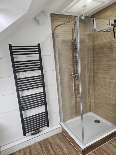a shower with a glass door in a bathroom at Tautraum Suite mit Whirlpool und grünem Ausblick in Wilhelmshaven