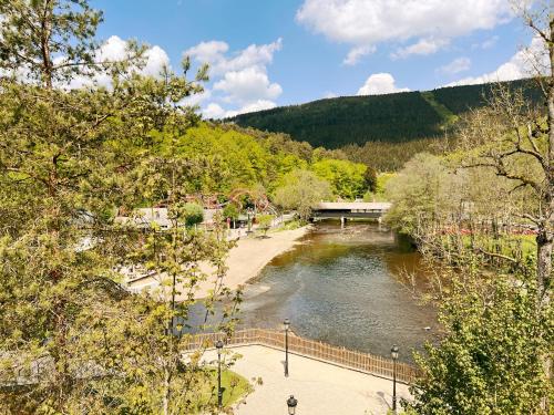 a view of a river with a bridge and trees at Au sommet de la cascade in Stavelot