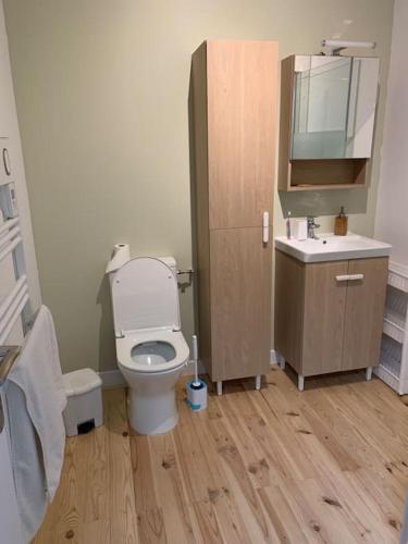 a bathroom with a toilet and a sink at Logis Groly gîte avec spa en campagne proche Montauban in Genébrières