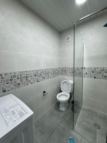 a bathroom with a toilet and a glass shower at Orion Villa 1 in Batumi