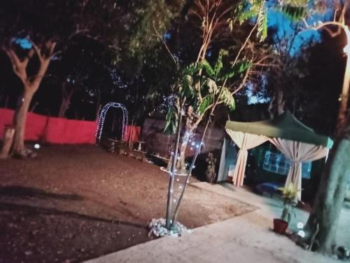 Gambar di galeri bagi JUNGLE AERIAL ARTS NAMASTE LA UNION Chi fan kubo 2pax di Rimus