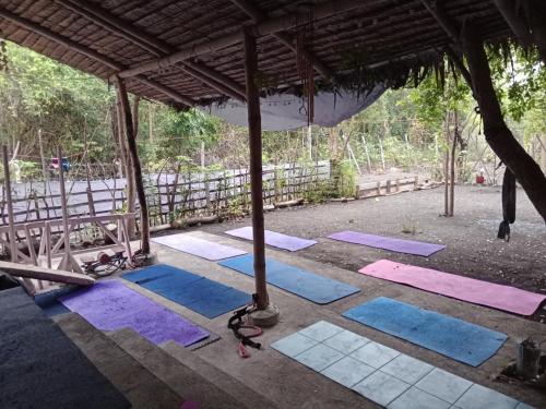 a group of yoga mats on the ground at SECLUDED GLAMPING YOGA SAMADHI fan 2 kubos 8 pax in Rimus