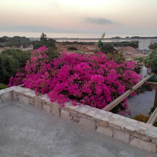 Naxos Alyko Traditional Vacation House ''Mitatos''