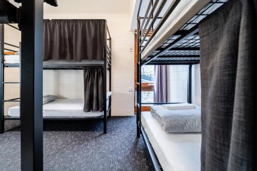 a room with two bunk beds and a window at YHA Thredbo in Thredbo