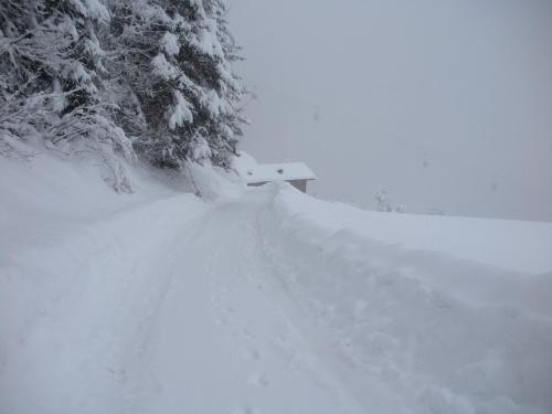 a snow covered road with trees and a building at Ratzeshof in Castelrotto