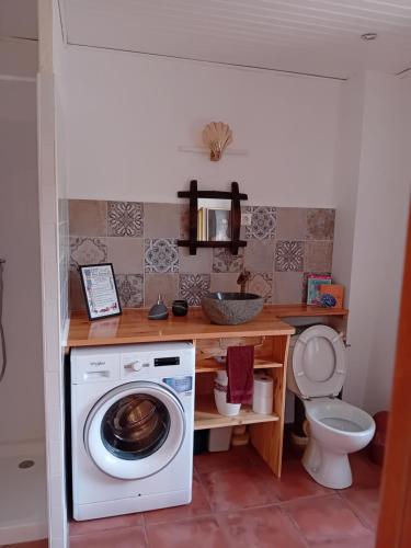 une salle de bain avec machine à laver et toilettes dans l'établissement Le Gîte de la Source BOUSSAGUES, à La Tour-sur-Orb