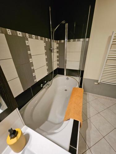 a bathroom with a bath tub with a shower at F3 rez-de-chaussée Centre ville au calme avec Balcon Garage et Netflix in Héricourt