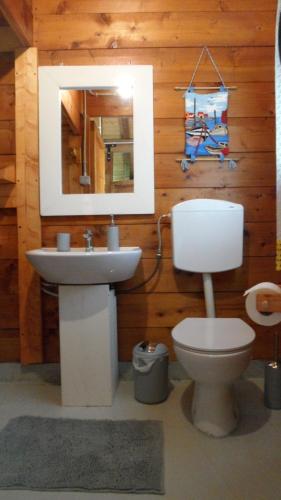 a bathroom with a toilet and a sink and a mirror at B&B Scotty & Co. in Susa