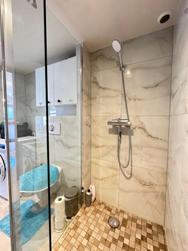 a bathroom with a shower with a glass door at Superbe appartement proche de stations de ski in Thonon-les-Bains