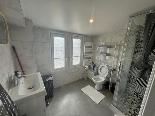 une salle de bain avec toilettes, lavabo et douche dans l'établissement Appartement Champagne sur Seine, à Champagne-sur-Seine