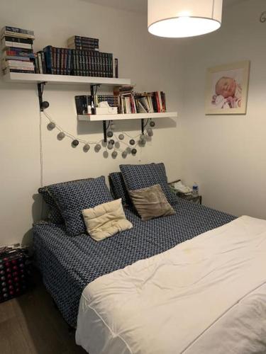 - une chambre avec un lit et des étagères sur le mur dans l'établissement Magnifique villa avec piscine, à Saint-Marcel-lès-Valence