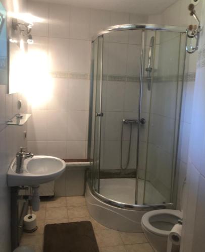 a bathroom with a shower and a sink and a toilet at Zielony Zakątek in Łubno