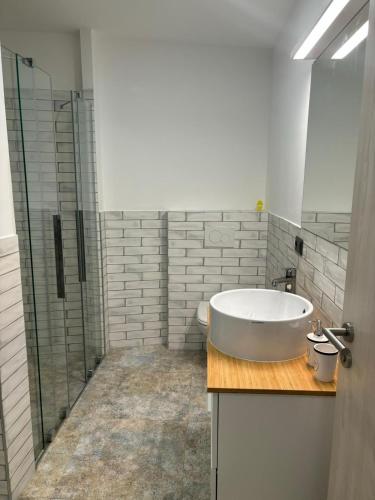 a bathroom with a tub and a glass shower at Seeapartment Southbeach mit Terrasse und Seezugang in Sekirn