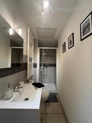 une salle de bain avec un lavabo, des toilettes et une douche dans l'établissement Proche Gare, spacieux, lumineux, Fibre, P gratuit, à Belfort