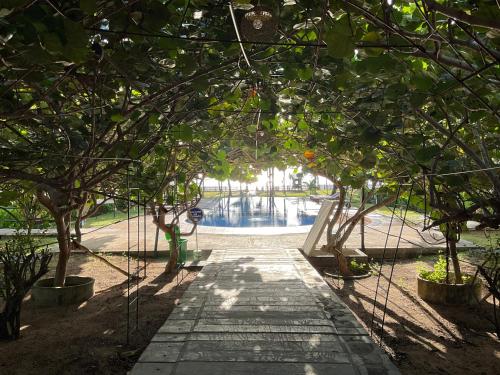 a path through a bunch of trees in a park at Luxury penthouse , Nilaveli, Srilanka in Nilaveli