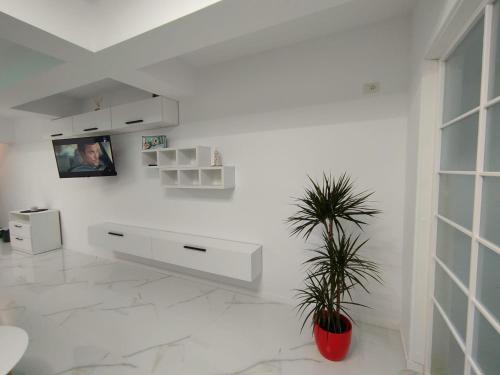 a white living room with a tv and a plant at Studio Tudor Eforie Nord in Eforie Nord
