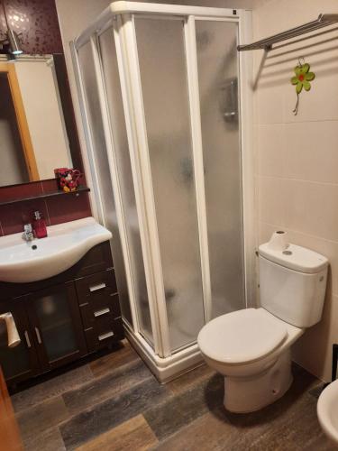 a bathroom with a shower and a toilet and a sink at Piso de La Luna in Cazorla