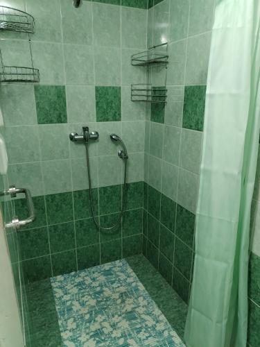 a bathroom with a shower with green tiles at Apartmán Brdy in Strašice
