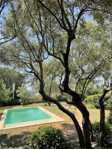 une piscine dans un parc avec un arbre dans l'établissement Maison Cian en Provence, à Tavernes