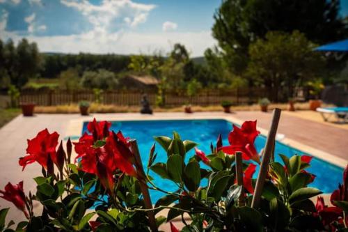 a plant with red flowers next to a swimming pool at Quinta da Barroca do Cabo in Ázere
