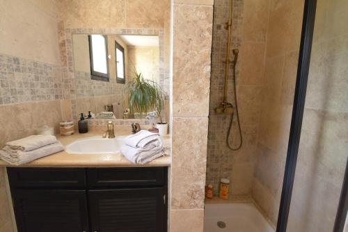 a bathroom with a sink and a shower at La Lézarde, chambre d'hôte, piscine, salle d'eau privatif, café ou thé offert le matin in Saint-Victor-la-Coste