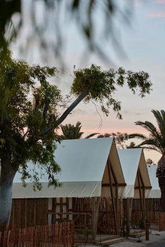 a white tent in front of a fence with trees at TAIGA Delta de l'Ebre in L'Ampolla