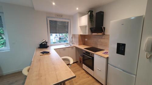 Il comprend une cuisine équipée d'un comptoir en bois et d'un réfrigérateur. dans l'établissement Appartement moderne Strasbourg, à Strasbourg