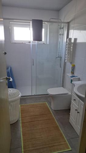 a bathroom with a shower and a toilet and a sink at Casa do Vicente in Tabuaço