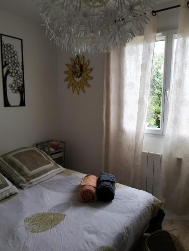 ein Schlafzimmer mit einem Bett mit einem Kronleuchter und einem Fenster in der Unterkunft Chez isa in Massilly
