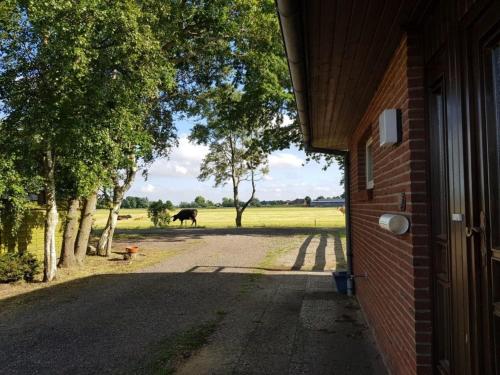 una entrada a la casa con un caballo en el campo en Landhaus Sonnenglück, en Tetenbüll