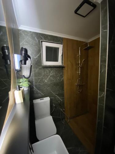 a bathroom with a toilet and a shower at Apartmani Lazarevic Jagodina in Jagodina