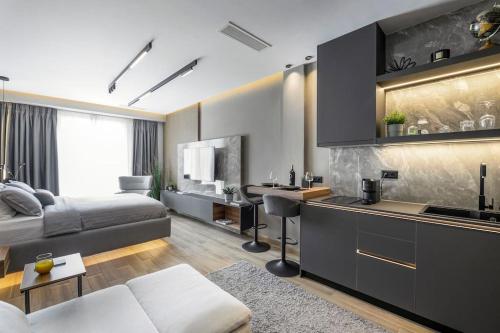 Aristotelian Virtues - Sophia