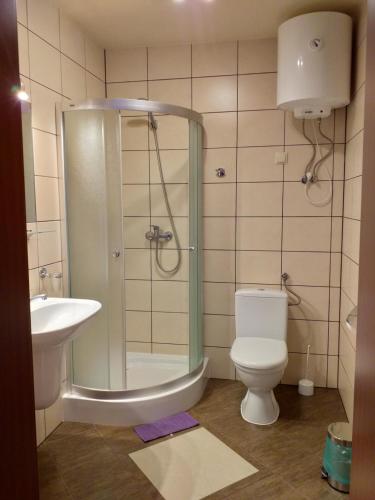 a bathroom with a shower and a toilet and a sink at Willa Onyks in Szklarska Poręba