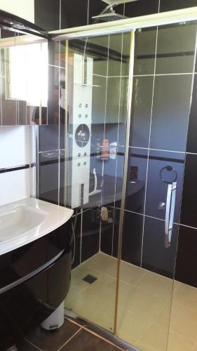 une salle de bain avec douche et lavabo dans l'établissement Villa Castellane, à Castellane