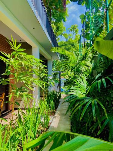 a garden outside the guest house at Coffee House Dambulla in Dambulla