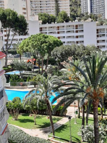 a view of a park with palm trees and buildings at Playmon Holiday Apartment in Benidorm
