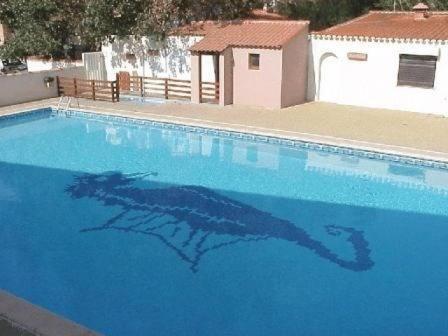 une photo d'un requin nageant dans une piscine dans l'établissement VILLA 3 PIECES 51m2 + TERRASSE 45m2 REF 4033, à Le Castellas