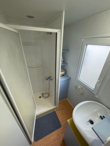 a bathroom with a shower and a white sink at Casă mobilă 1 in Constanţa