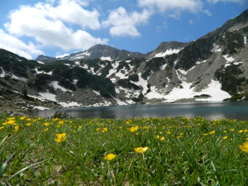 a field of flowers in front of a mountain lake at Kempinski Hotel Grand Arena Bansko in Bansko