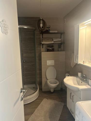 een badkamer met douche, toilet en wastafel bij Apartment Timka in Mostar