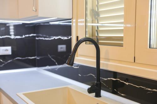 a kitchen with a sink and aaucet at Amla's Villa in Berat
